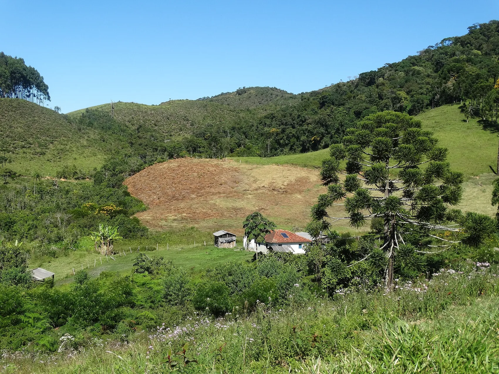 Caminho do Ouro Paraty: hiking the Gold Trail